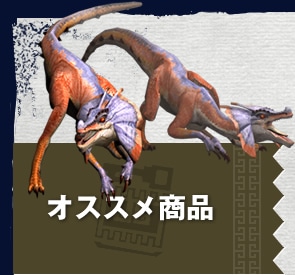 オススメ商品