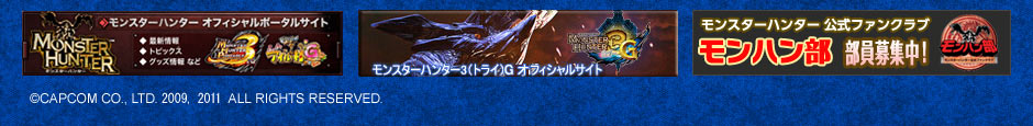 対応ハード：Nintendo 3DS ジャンル：ハンティングアクション 発売日：2011年12月10日(土)予定 プレイ人数：１人（通信プレイ：最大4人）  CEROレーティング：審査予定