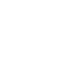 NEW ARRIVAL