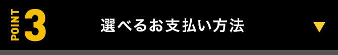 POINT3 Iׂ邨x@