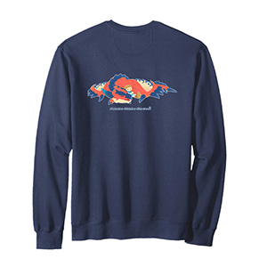 MONSTER HUNTER STORIES 3 A Drowsing Prince -BP Sweatshirt