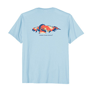 MONSTER HUNTER STORIES 3 A Drowsing Prince -BP T-shirt