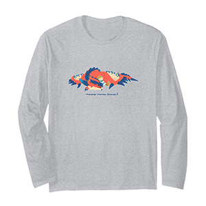 MONSTER HUNTER STORIES 3 A Drowsing Prince -FP Long sleeve t-shirt