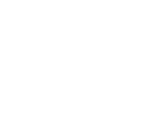 逆転裁判 25th anniversary